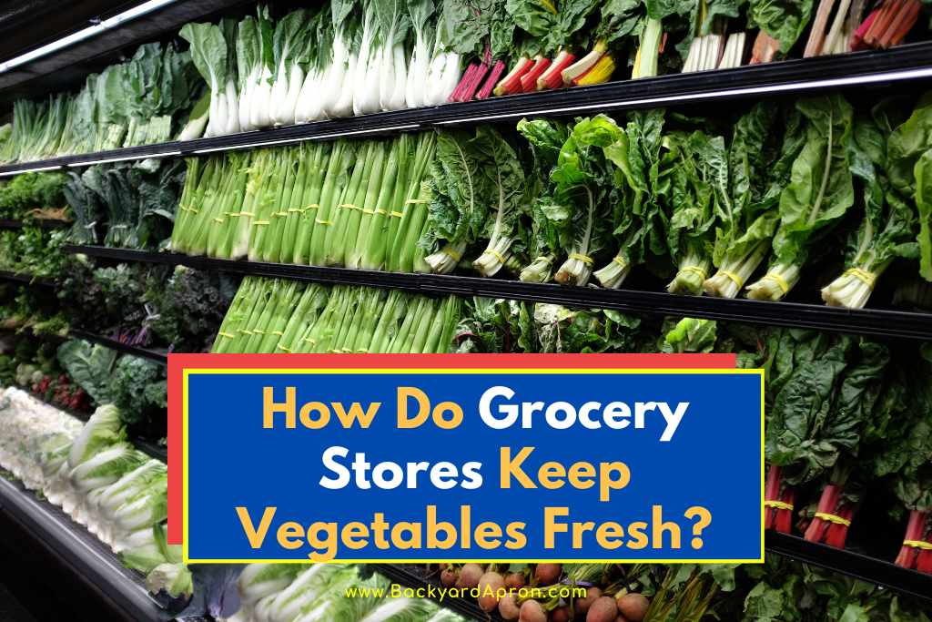 how-much-food-do-grocery-stores-throw-away-2022-update-grocery-store