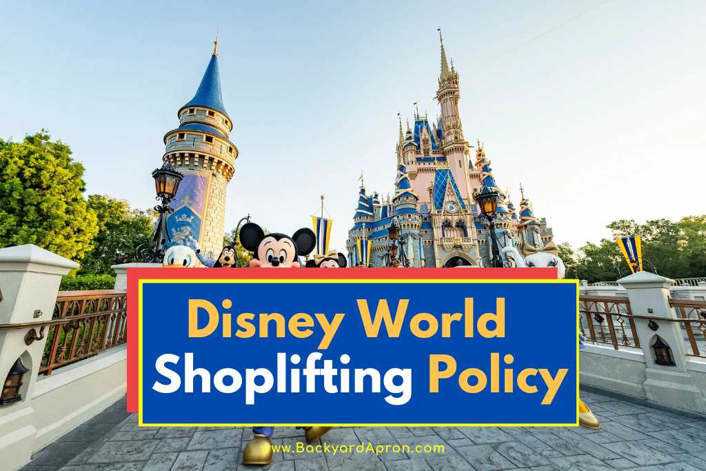 Disney World Shoplifting Policy
