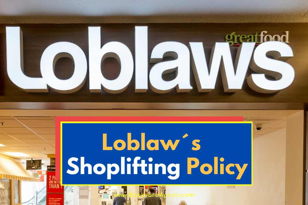 Loblaw’S Shoplifting Policy